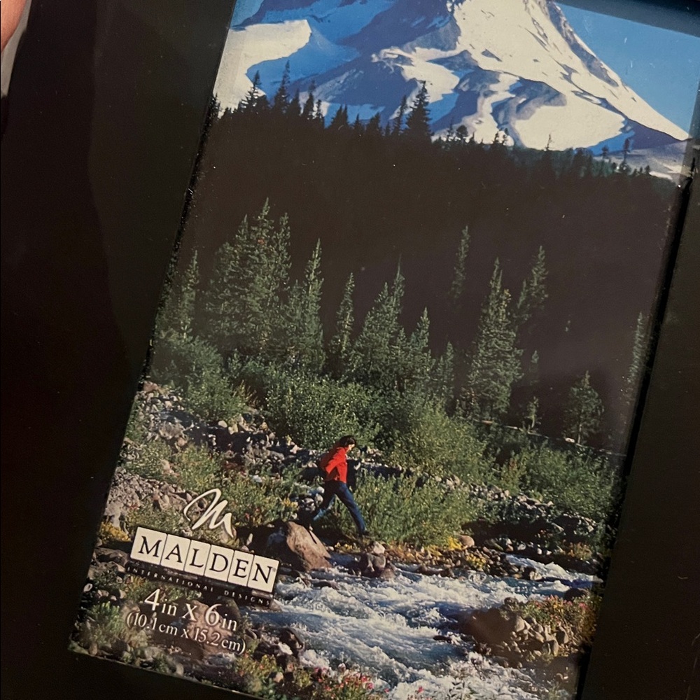 Malden Black Bear Woods Picture Photo Frame 4X6 - Picture 3 of 4